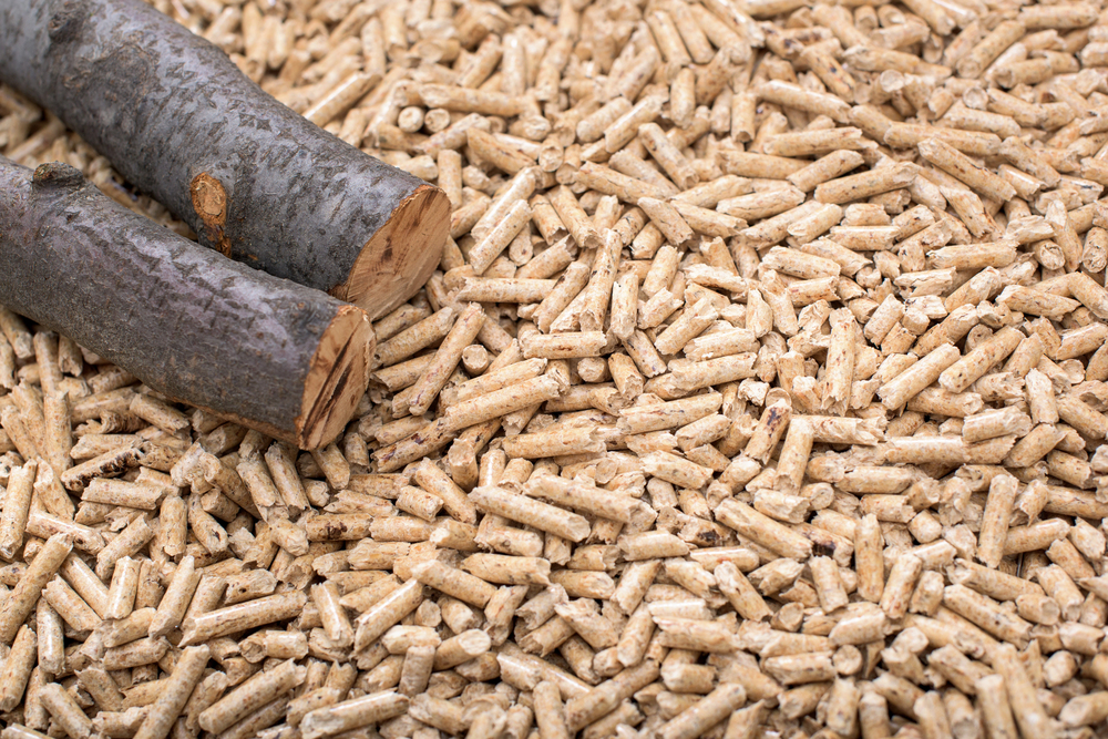 Holzenergie und Kesselanlage